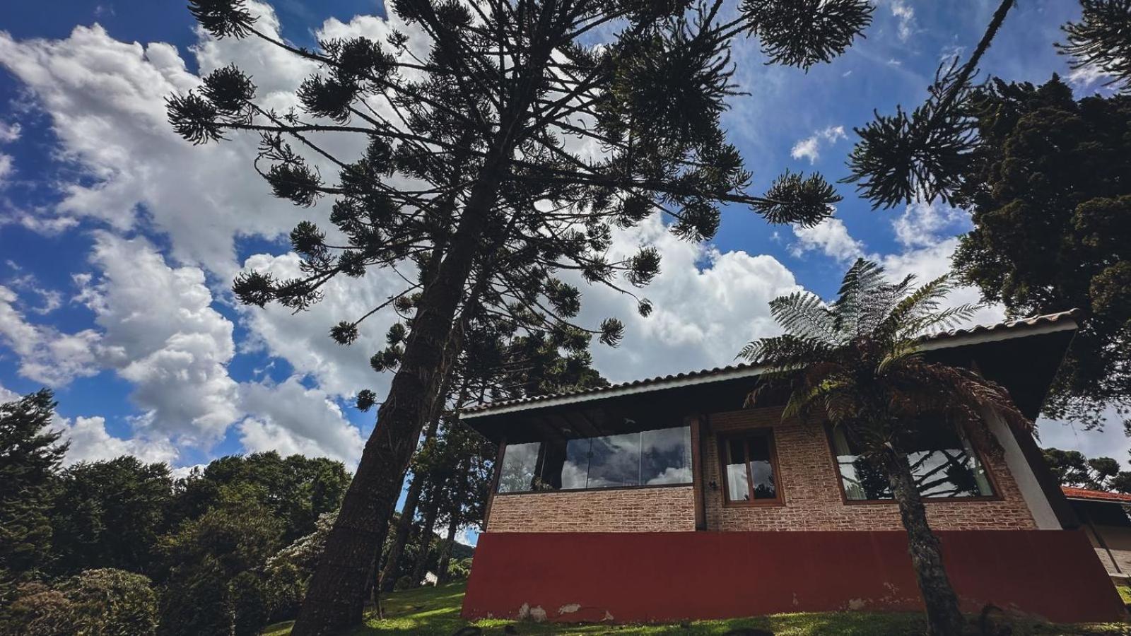 Estalagem Mandeville Monte Verde  Ngoại thất bức ảnh